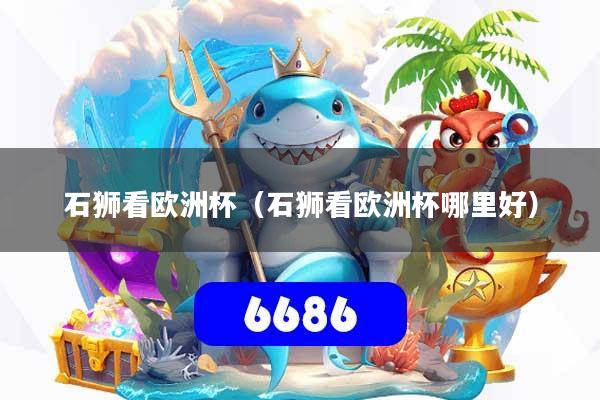 石狮看欧洲杯（石狮看欧洲杯哪里好）