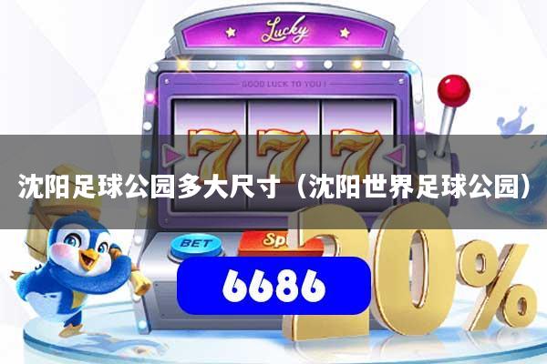 沈阳足球公园多大尺寸（沈阳世界足球公园）